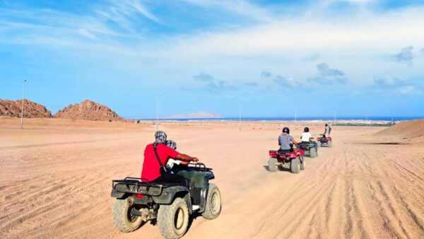 SUPER QUAD SAFARI - Image 6