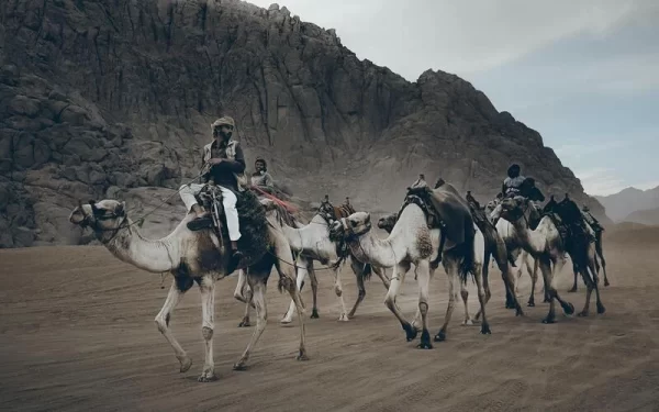 Quad Biking With Camel Ride & Beduin Dinner 4 in One