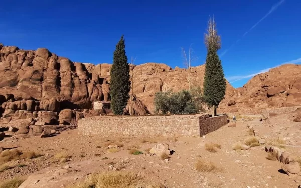 St. Catherine Tour From Sharm - Image 6
